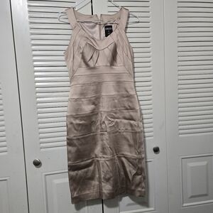 Dress By Jax Sleeveless Fitted Dress Nude Size 4